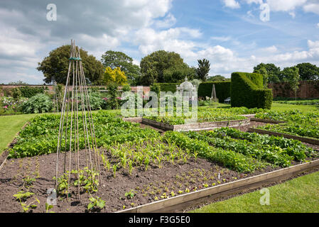 Pflanzlichen Hochbeete im Frühsommer Arley Hall Gardens, Cheshire. Stockfoto