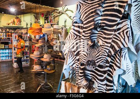 Zebra-Skins im Souvenir-Shop in O. R. Tambo International Airport (Flughafen Johannesburg) Stockfoto