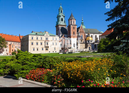 Wawel-Schloss - Krakau Stockfoto