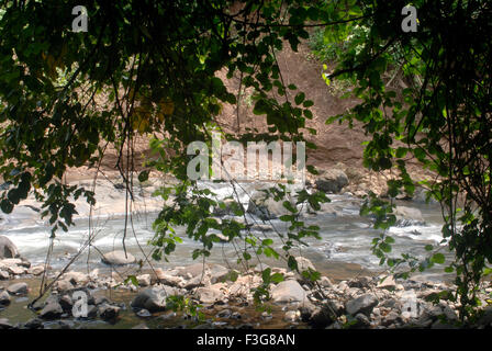 Fließendes Wasser und Felsen auf anstatt Fluss aus dichten Blättern im Sanjay Gandhi National Park; Borivali Mumbai Stockfoto