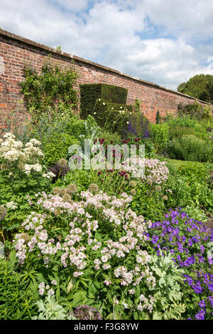 Berühmte Staudenrabatten Arley Hall in Cheshire mit Frühsommer Bepflanzung. Stockfoto