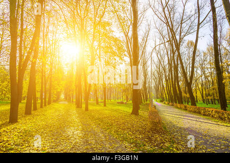 Herbst-Landschaft im Park mit zwei Straßen bedeckt Laub und Sonne in Zweigen der Bäume Stockfoto