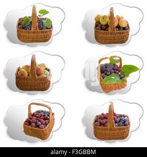 Apfel, Trauben, Pflaumen, Obst, Rohöl, Korb, reif, süß, Produkt, Obst. Stockfoto