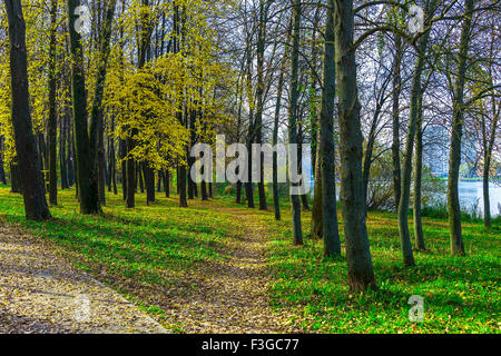 Herbst-Park mit Straße und Fußweg bedeckt trockenes Laub unter den Bäumen auf dem grünen Rasen Stockfoto