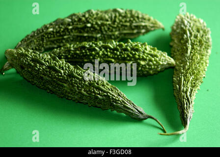 Grünes Gemüse auf grünem Hintergrund; Momordica charantia; Bittermelone; Bitterkürbis; Stockfoto