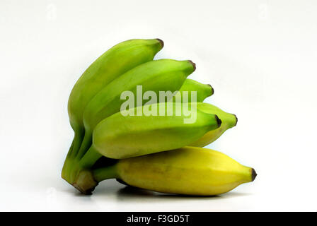 Früchte; Haufen Sie gereift und wechselnde Farbe, gelbe Musa Paradisiaca auf weißem Hintergrund Stockfoto