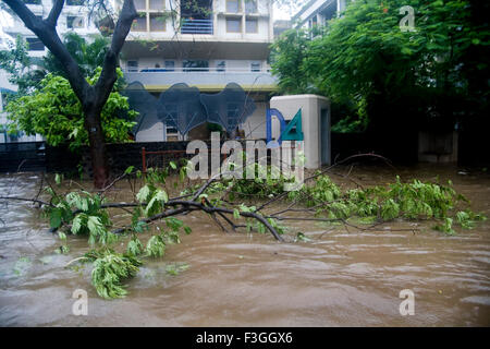 Monsoon Saison; Wasser anmelden Straße durch Starkregen am 5. july2006; Mumbai Bombay; Maharashtra; Indien Stockfoto