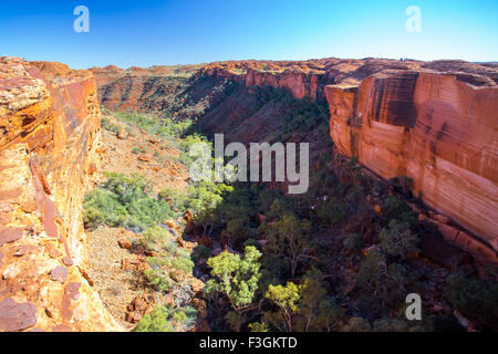 Der Blick in eine Schlucht von einer Klippe am Kings Canyon im Northern Territory, Australien Stockfoto