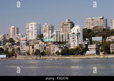 Ansicht von Mumbai Gebäuden und Arabische Meer mit Möwen auf dem Wasser; Bombay Mumbai; Maharashtra; Indien Stockfoto