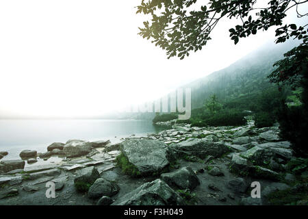 Nebel über See in Bergen. Natur-Konzeptbild. Morskie Oko in Tatra, Polen. Stockfoto