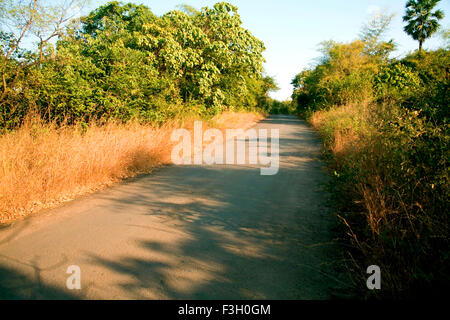 Wald Gehweg; Sanjay Gandhi Nationalpark; Borivali; Bombay Mumbai; Maharashtra; Indien Stockfoto