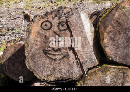 Jahrringe und bemaltem Gesicht Stockfoto