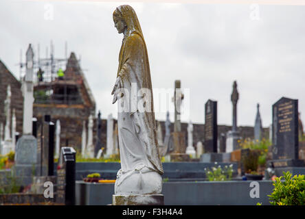 Bildnis Timoleague Abbey County cork, Irland Stockfoto