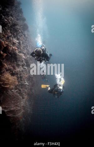 Taucher suchen nach unten in den Abgrund, Raja Ampat, West-Papua, Indonesien Stockfoto