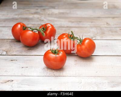 Sechs roten strauchtomaten auf Holztisch Stockfoto