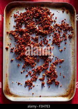 Rote Chilischoten auf Backblech Stockfoto