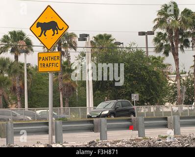 Panther überqueren Warnschild entlang einer Straße, Naples, Florida, USA Stockfoto