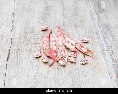 Stillleben mit Borlotti-Bohnen (auch bekannt als Cranberry Bohnen, römische Bohnen oder Romanobohnen) auf Holztisch Stockfoto