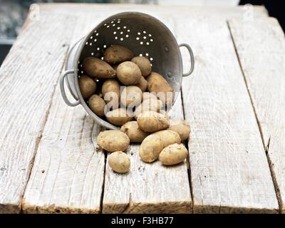 Stillleben mit Jersey Royal Kartoffeln in Sieb auf Holztisch Stockfoto