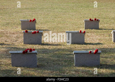 Russischen Krieg Opfer Grabsteine mit roten Nelken auf sie auf dem Friedhof CWGC Osten Mudros. Anlage Stadt Lemnos Insel, Griechenland Stockfoto