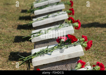 Reihe von russischen Krieg Opfer Grabsteinen mit roten Nelken auf sie. CWGC Osten Mudros Friedhof. Anlage Stadt Lemnos Insel, Griechenland Stockfoto