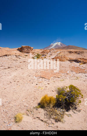 Neben Felslandschaft und einen dampfenden Vulkan in der Ferne auf das Hochland der Anden, unter den wichtigsten Destin Reisen Stockfoto