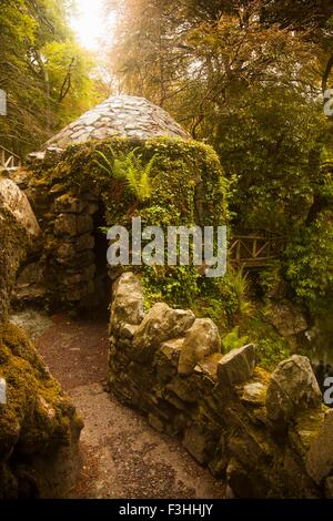 Tollymore Forest Park, Newcastle, UK Stockfoto