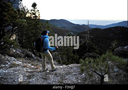 Junge Frau Wandern, Mount Charleston Wilderness Trail, Nevada, USA Stockfoto