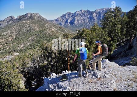 Paar Wandern, Mount Charleston Wilderness Trail, Nevada, USA Stockfoto