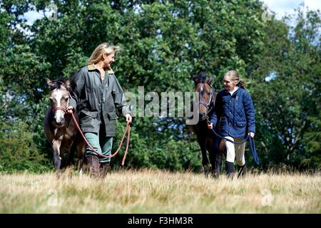 Mutter und Tochter Walking Pferde im Feld Stockfoto