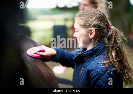 Mädchen Reiterin Pflege Pferd Stockfoto