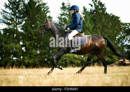 Mädchen-Reitpferd im Feld Stockfoto