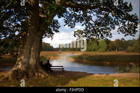 Der See am Gericht Emo, Emo Dorf, County Laois, Irland Stockfoto