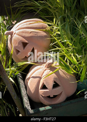 Halloween-Kürbisse Modell 'Laterne' geschnitzt Kürbis, verbunden mit dem Feiertag Halloween Stockfoto