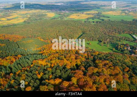 Frankreich, Bas Rhin (67), Heiligenstein, Wald von Urlosenholz (Luftbild) / / Bas Rhin (67), Heiligenstein, Bois de Urlosenholz Stockfoto