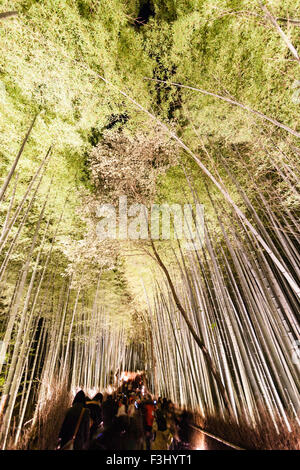 Arashiyama, Kyoto. Menschen zu Fuß durch die beleuchteten berühmten turmhohen Bamboo Grove während des Hanatoure winter Licht Festival. Stockfoto