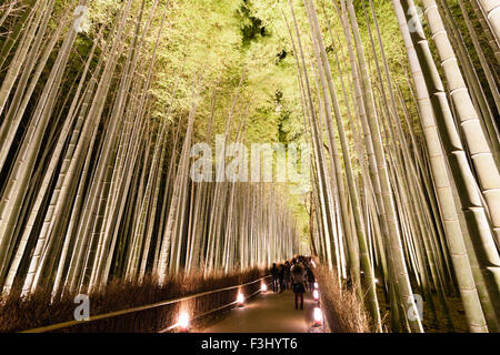 Arashiyama, Kyoto. Menschen zu Fuß durch die beleuchteten berühmten turmhohen Bamboo Grove während des Hanatoure winter Licht Festival. Stockfoto