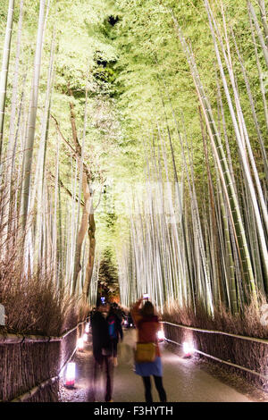 Japan, Kyoto, Arashiyama, Hanatouro Menschen wandern entlang der beleuchtete Pfad in der Bambushain Stockfoto