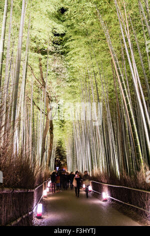 Kyoto, Arashiyama, Hanatouro, Menschen wandern entlang der Beleuchtung Pfad in der Bambushain anzeigen Stockfoto