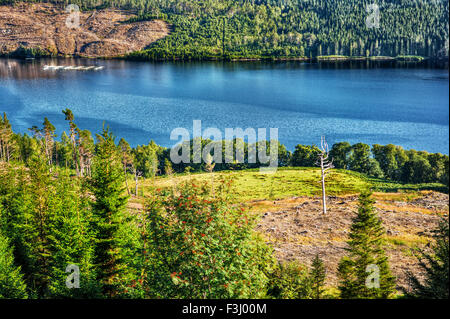 September 2015, See in Schottland und Entwaldung, HDR-Technik Stockfoto