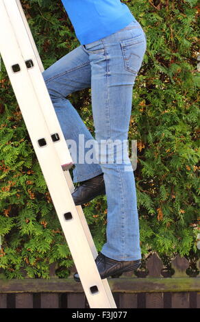 Arbeitnehmerin Klettern auf Aluminium-Leiter im Garten, tritt die Leiter Stockfoto