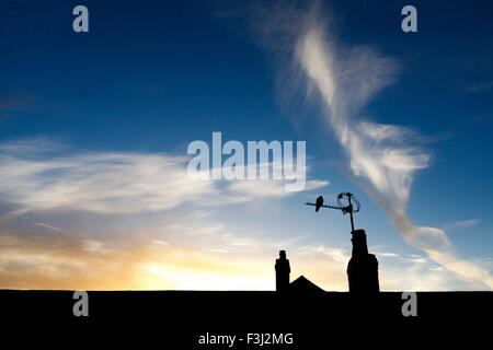 8. Oktober 2015. Wetter. Eine taube sitzt auf einer Dachantenne durch den Sonnenaufgang und wispy Wolken in East Sussex, UK. 8. Oktober 2015. Credit: Ed Brown/Alamy leben Nachrichten Stockfoto