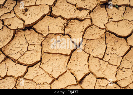 Trockenen Boden nach einer Zeit der Dürre in Somalia. Stockfoto