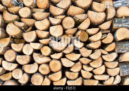 Haufen Brennholz Protokolle. Stapel von Holz für den winter Stockfoto