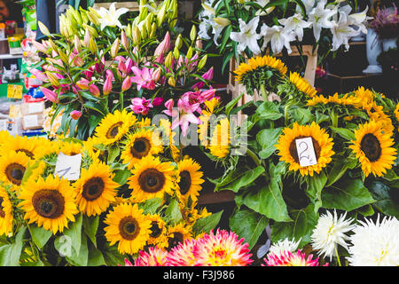 Blumenmarkt in Riga, Lettland Stockfoto