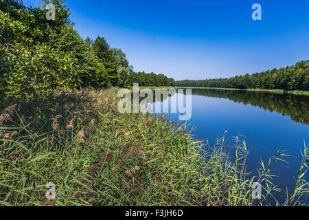 Wydminy See in Masuren in Polen. Stockfoto