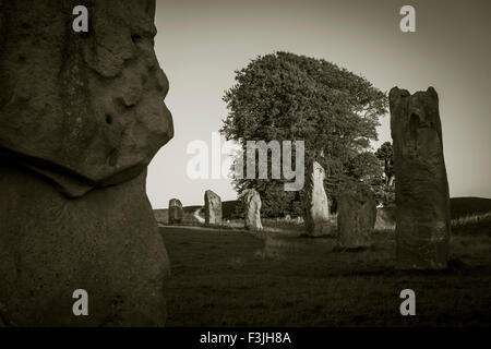Neolithischen Menhiren im Steinkreis von Avebury, Wiltshire, UK Stockfoto