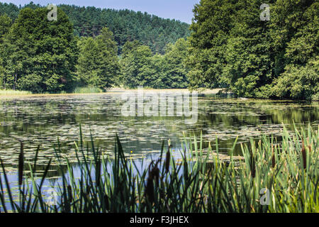 Black River Hancza in Turtul. Polen Stockfoto