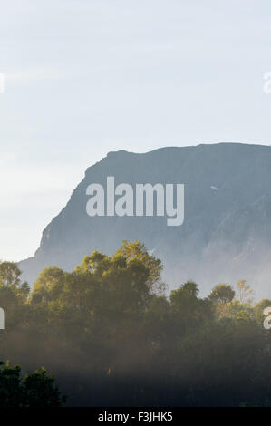 Am frühen Morgensonne fangen nebligen Baumkronen mit der Nordwand des Ben Nevis im Hintergrund. Stockfoto