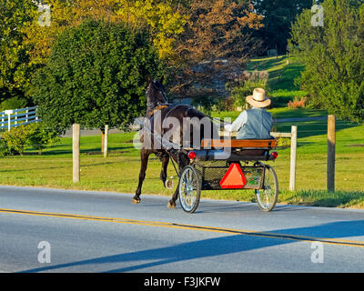 Amische Pferd und Buggy auf Landstraße Stockfoto